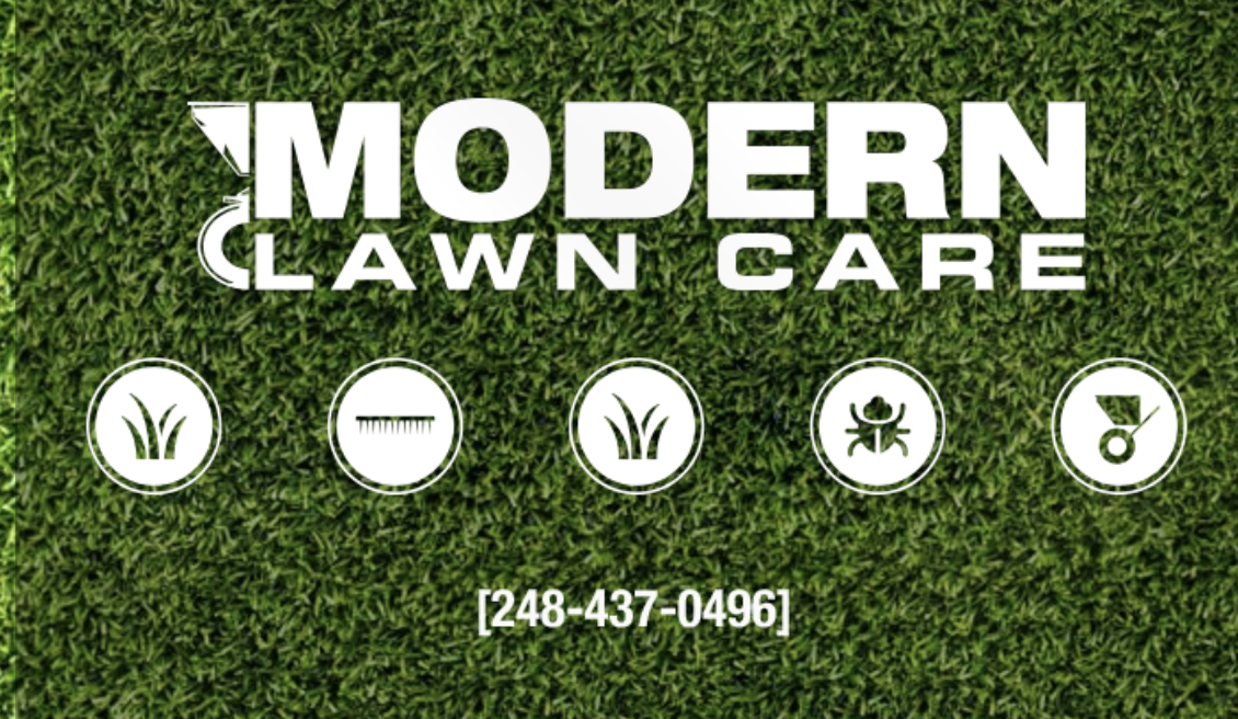 Modern on sale lawn care